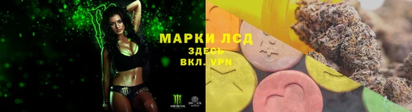 стаф Алексин