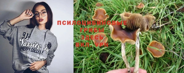 прущие крисы Арсеньев