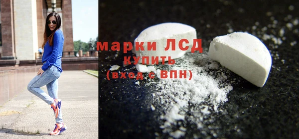 стаф Алексин