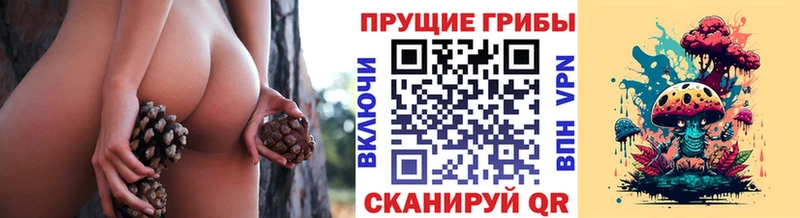 мега ONION Баймак Псилоцибиновые грибы Magic Shrooms